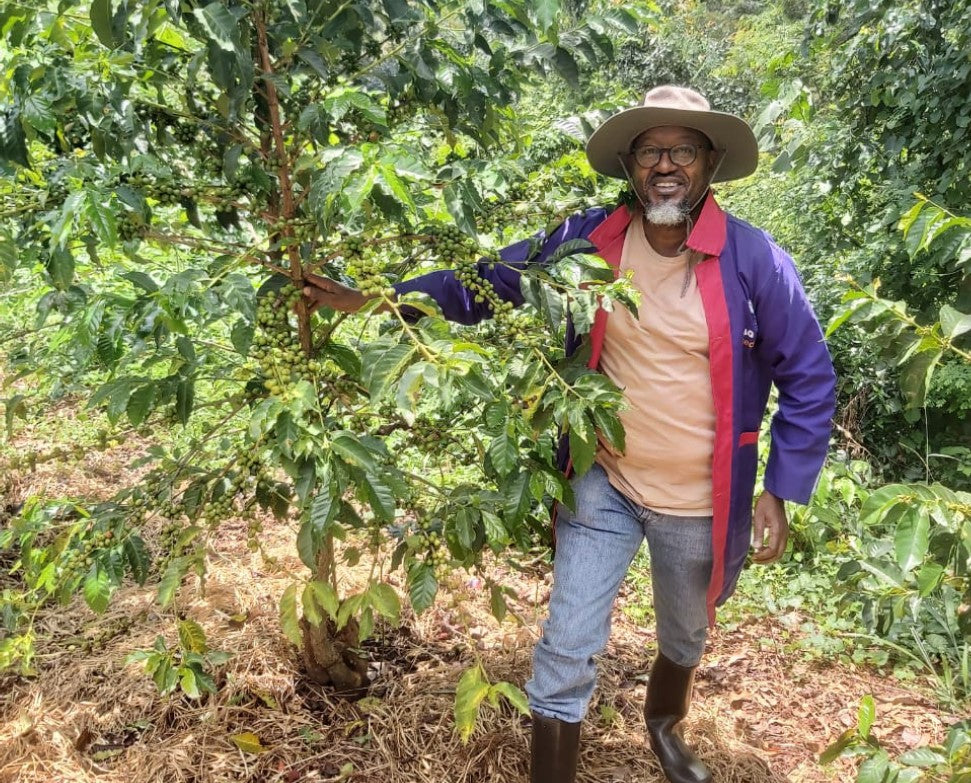 Ikahu Coffee single source premium coffee